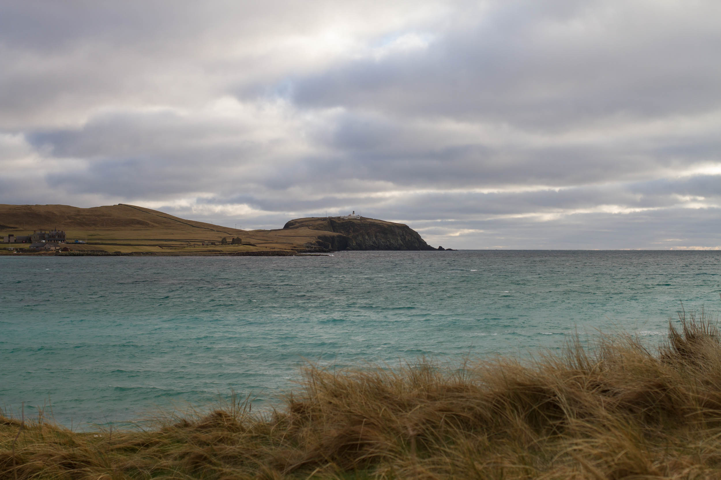 Shetland 