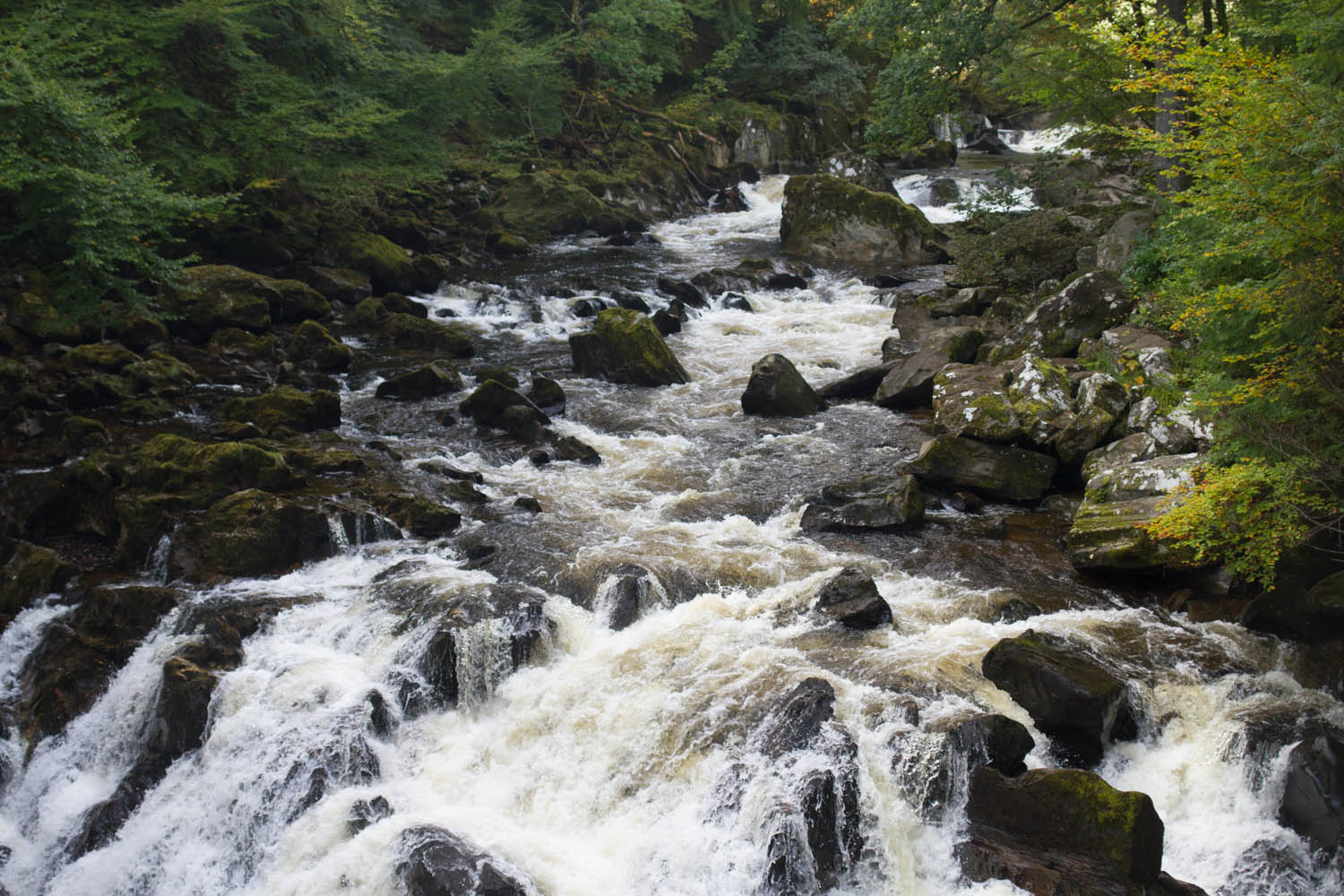 Waterfalls in Scotland, Scotland. Water flowing over large rocks and down the falls. Trees on either side of the river. 