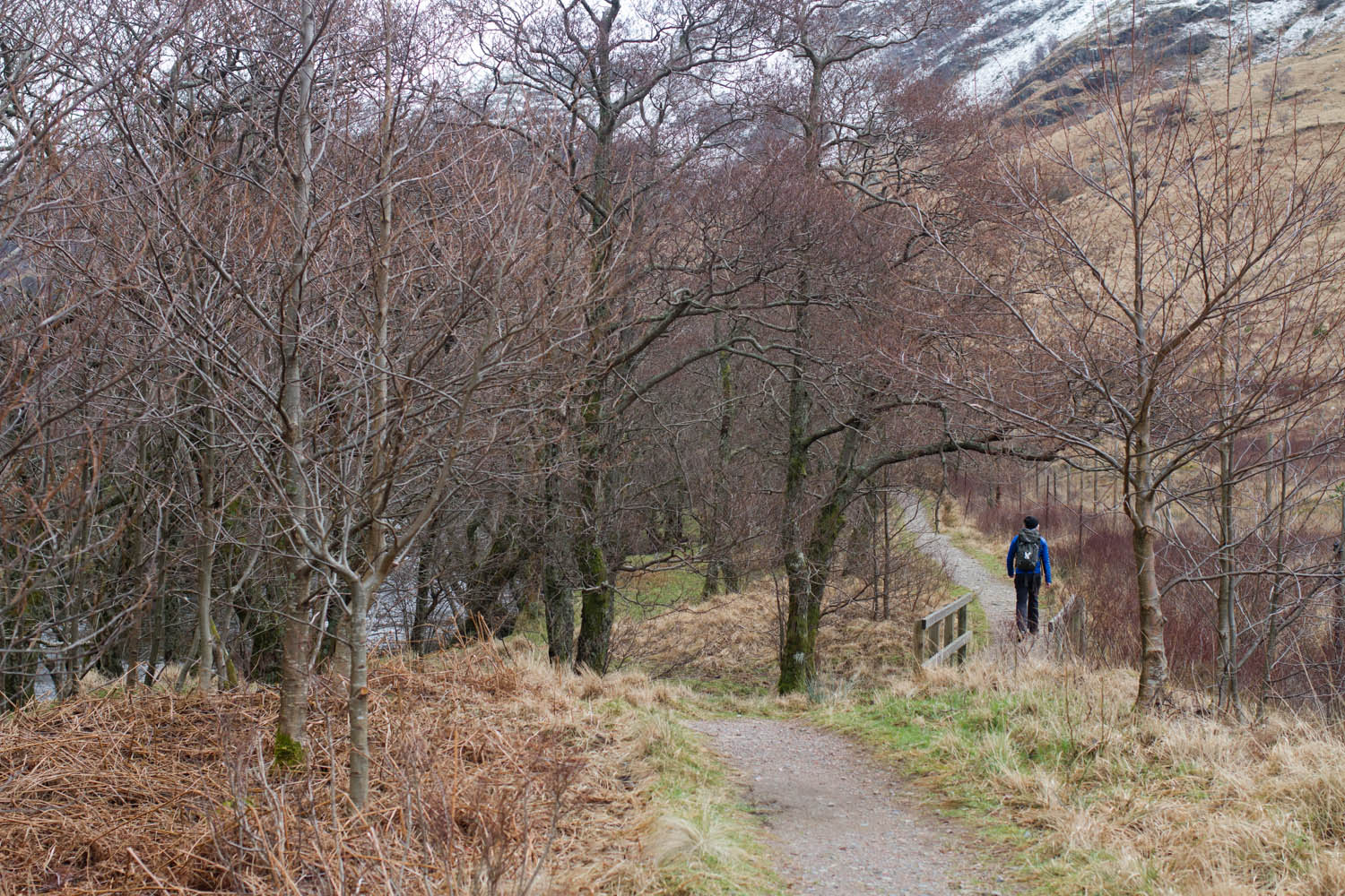 Steall Falls, Waterfalls in Scotland, Scotland Travel Guide 