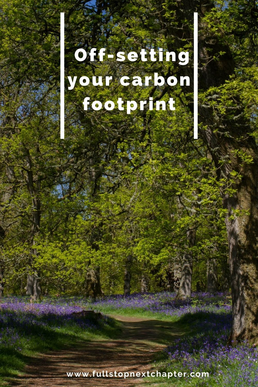 Pin for later. Photo of a trail path running through some oak trees. There are bluebells on the ground in flower too