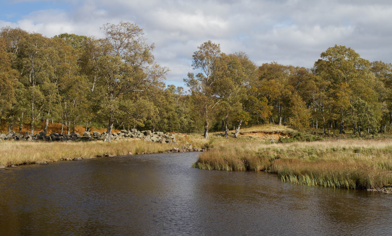 River in Angus Glens, Scotland. Trees on the banks of the river and blue sky 