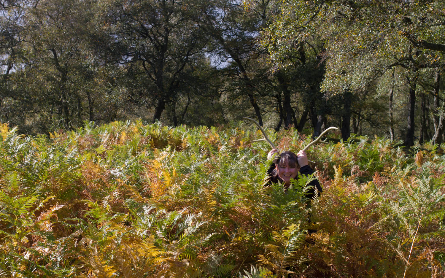 Autumnal ferns with a woman in amongst them holding deer antlers to her head