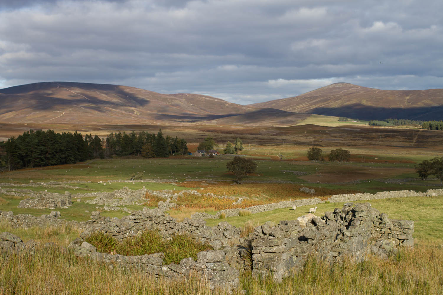 Arsallary township, Glen Esk, Angus Glens. Low wall ruins of the old township with hills in the background