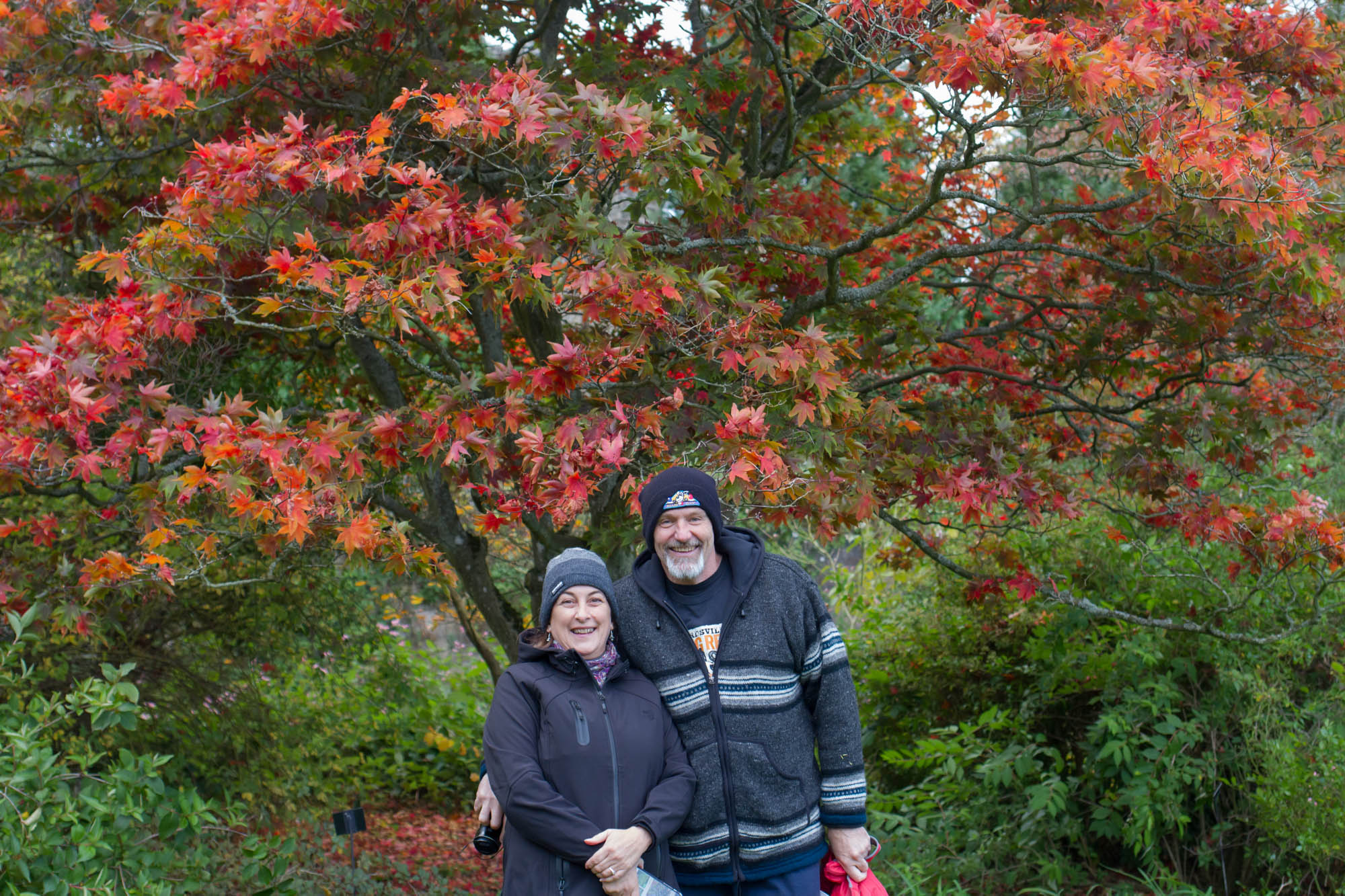 Falkland Palace, two people stood in front of a tree