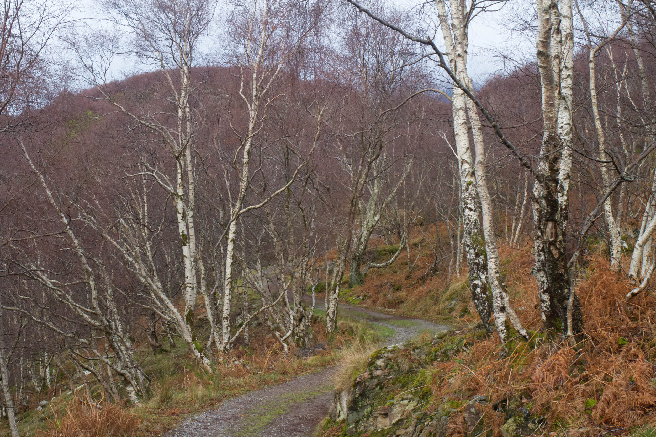 Shieldaig peninsula walk