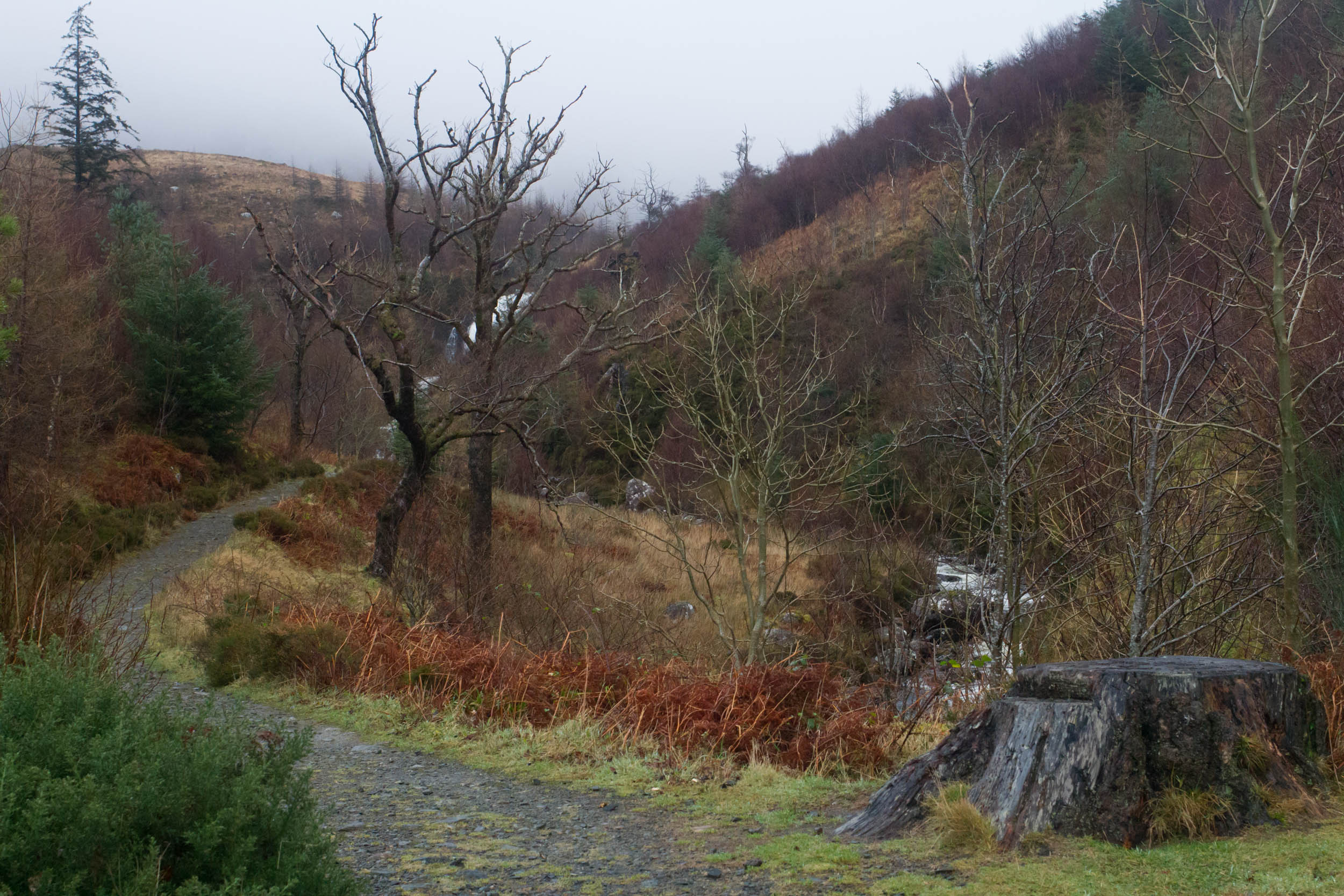 Flowerdale glen waterfall walk, NC500