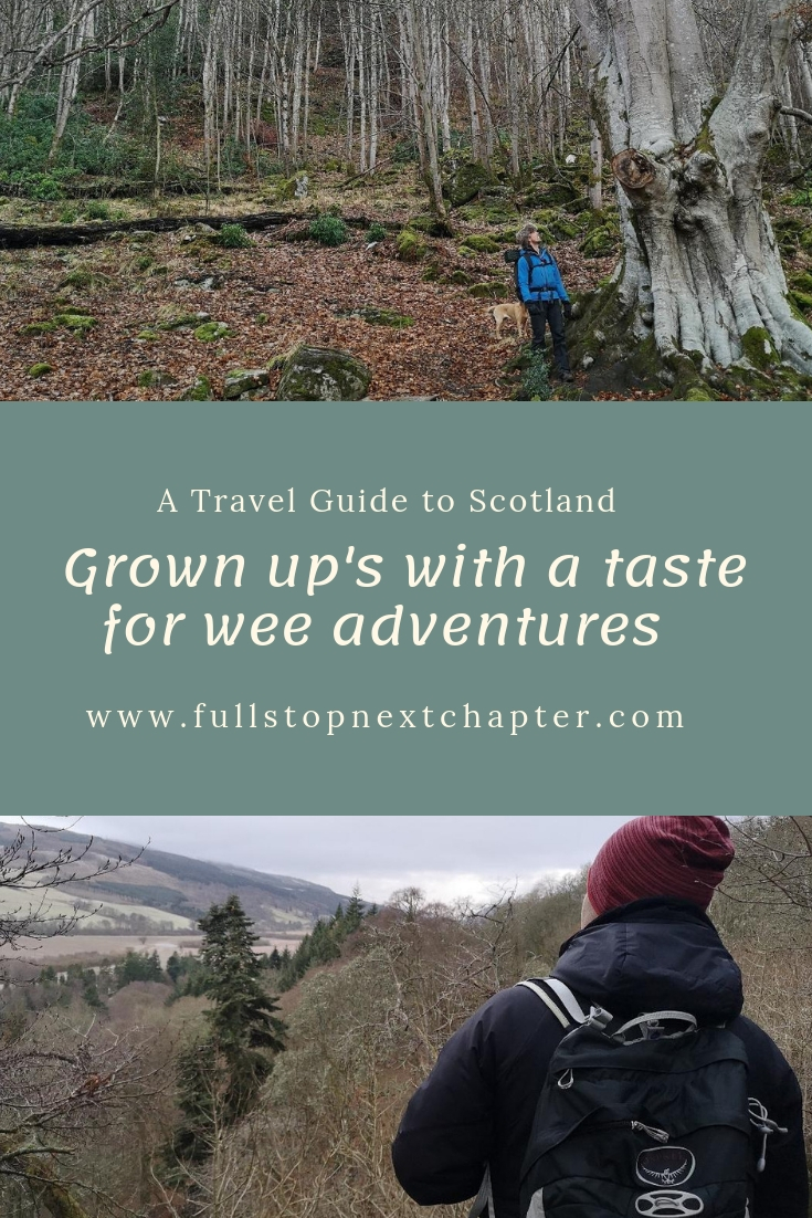 Wee Adventures Pinterest Pin. 