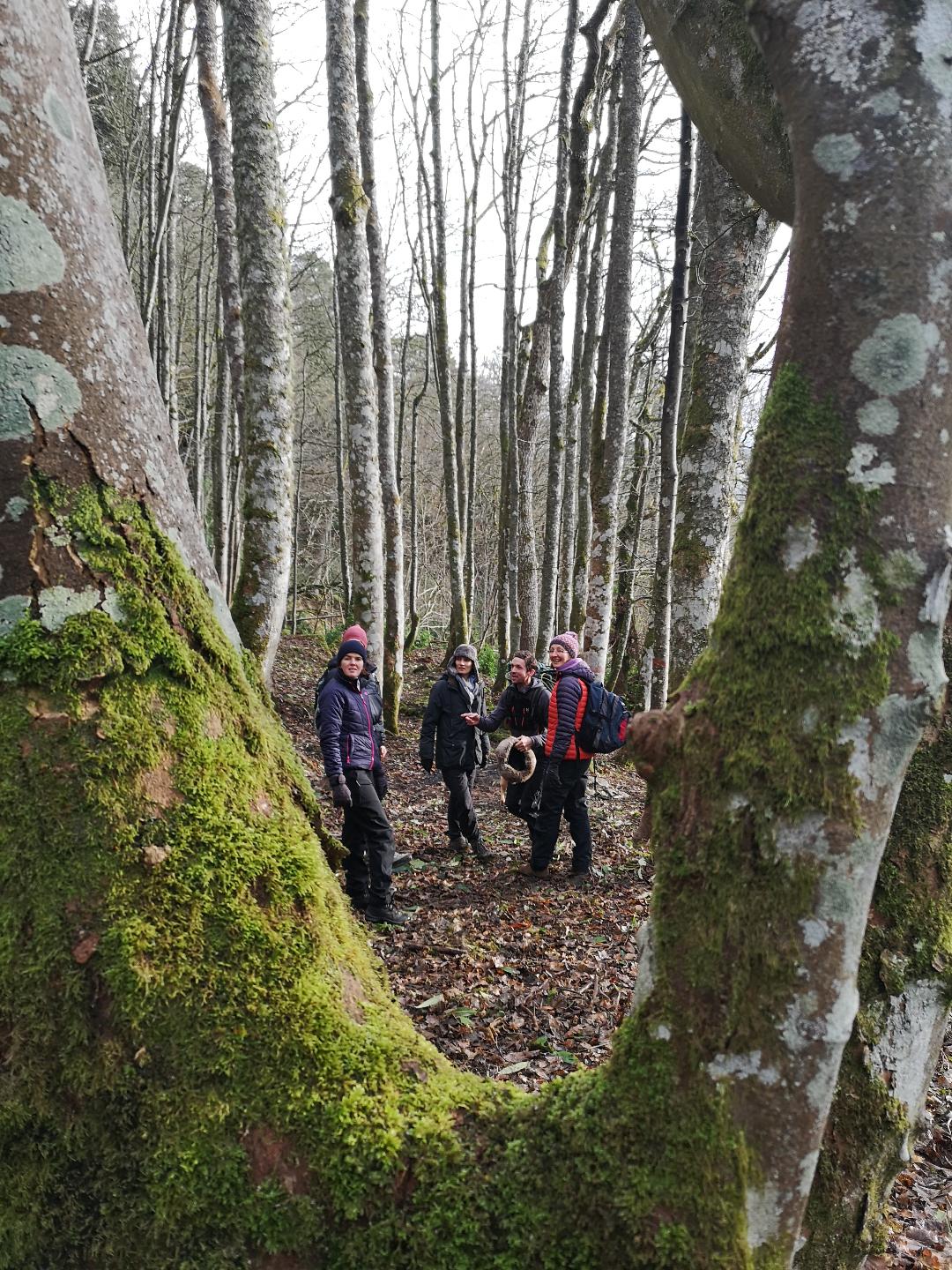 Wee adventures group in Weem Forest