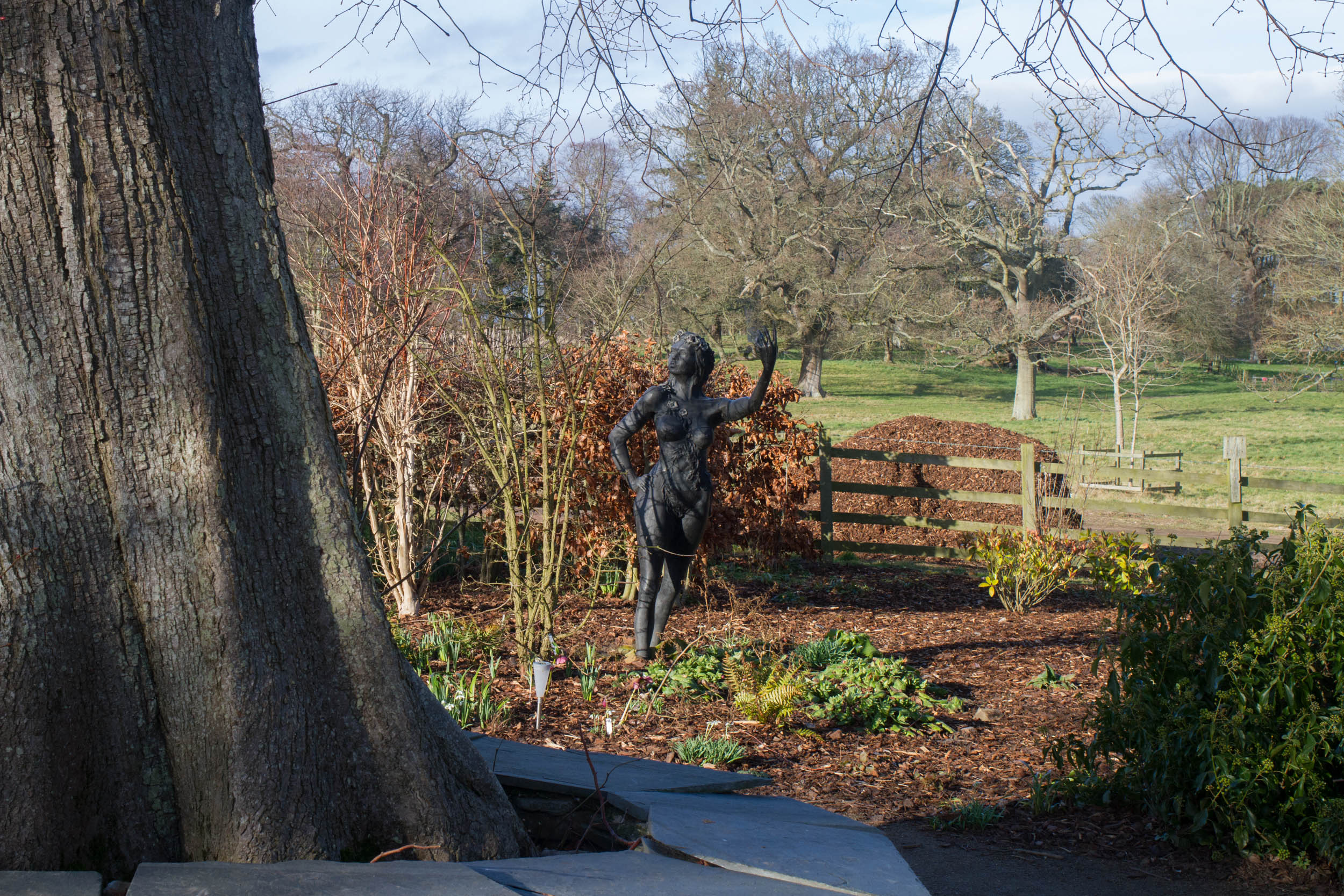 Cambo Garden Snowdrops