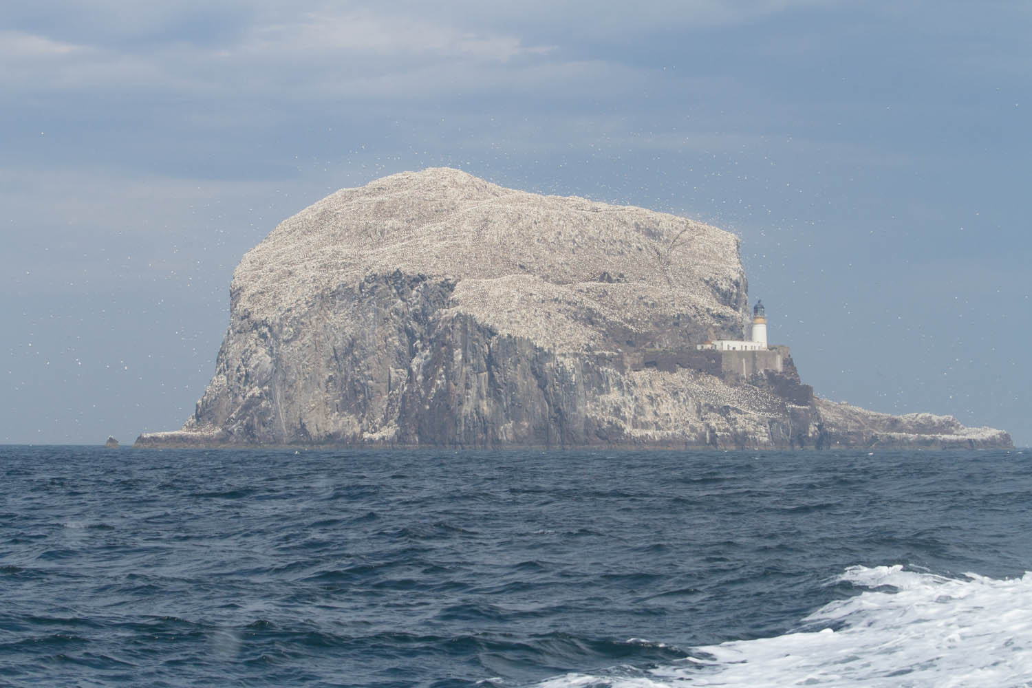 Bass Rock