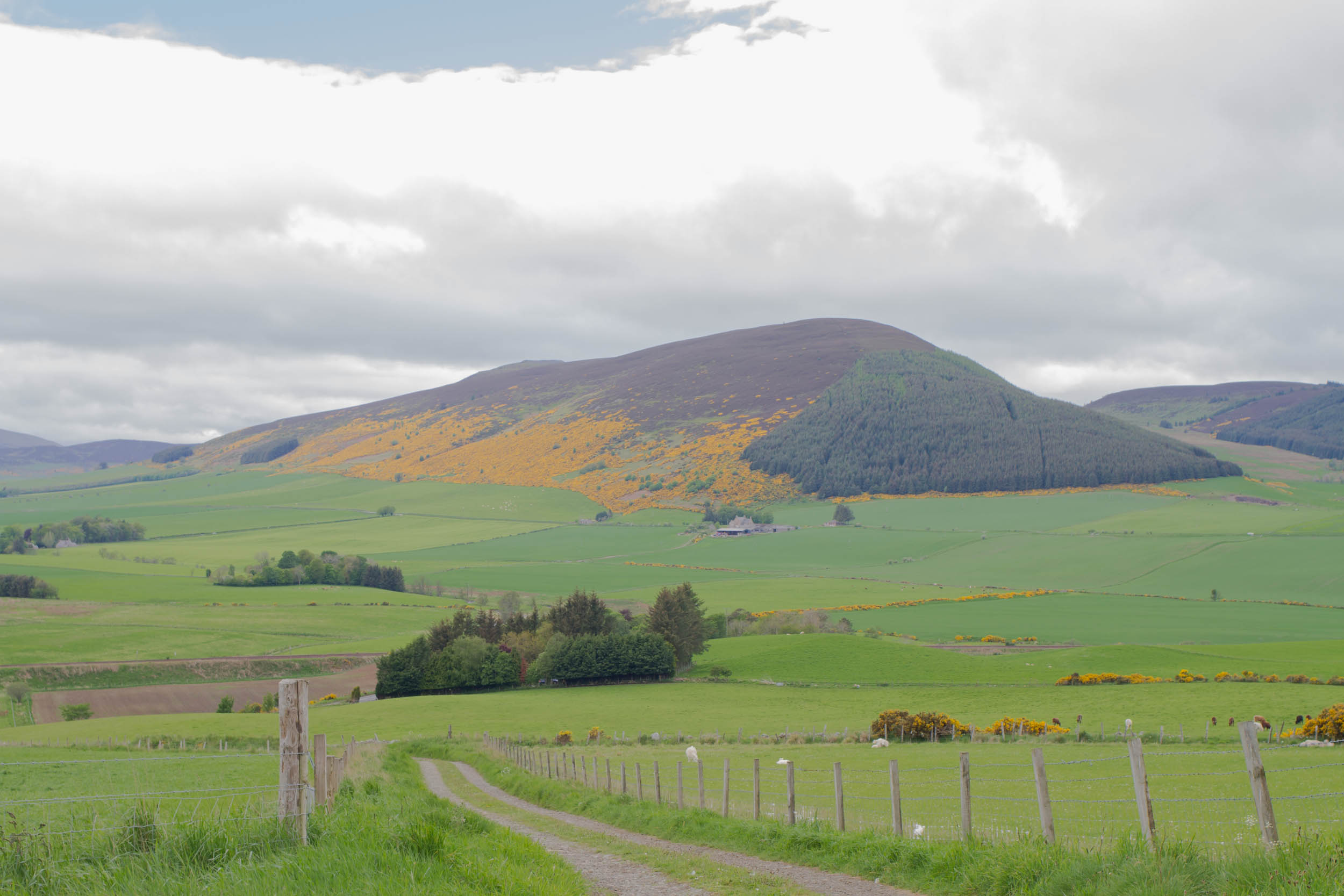 Woodside Steading, Aberdeenshire countryside