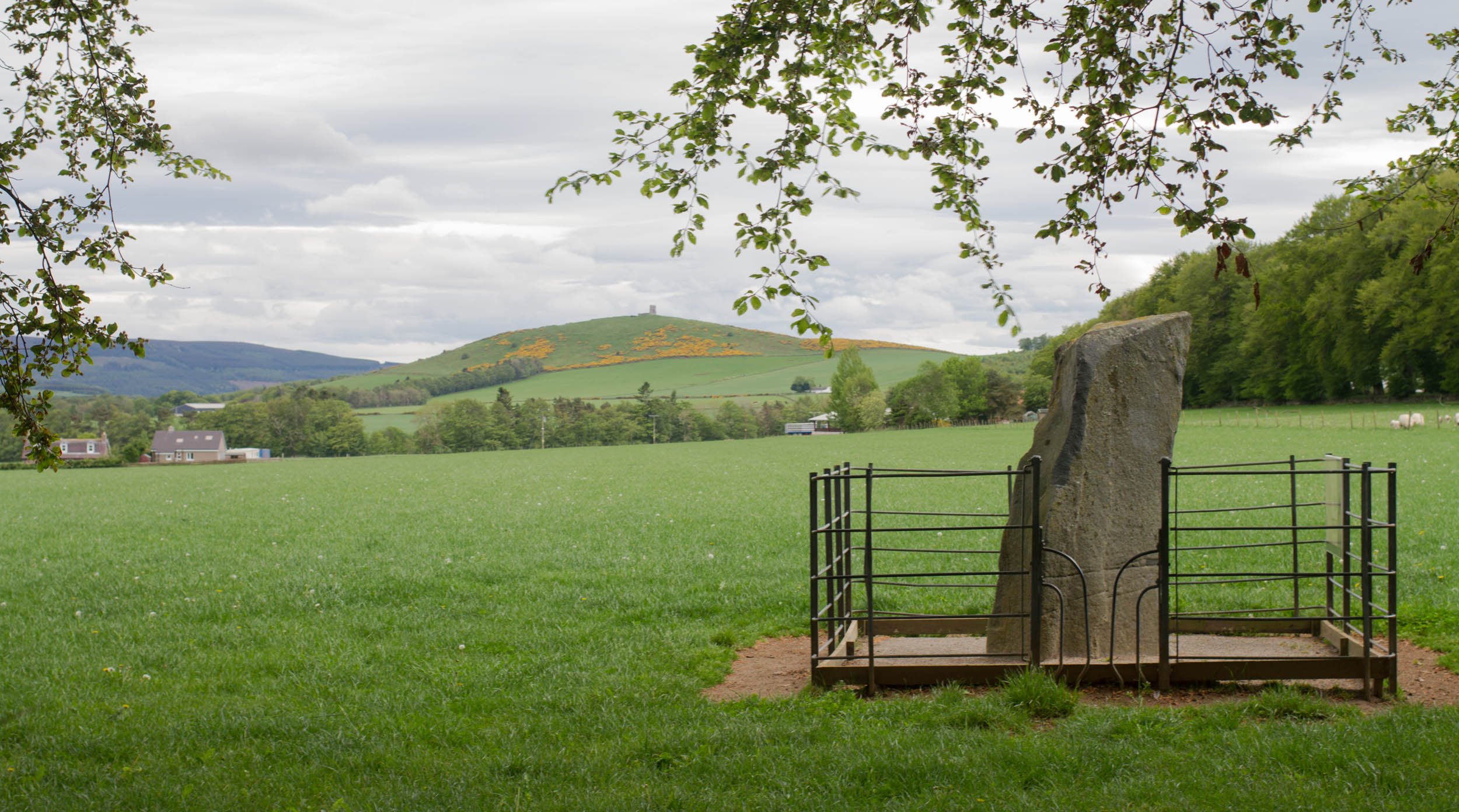 Picardy Stone, Pictish Stone. Aberdeenshire 