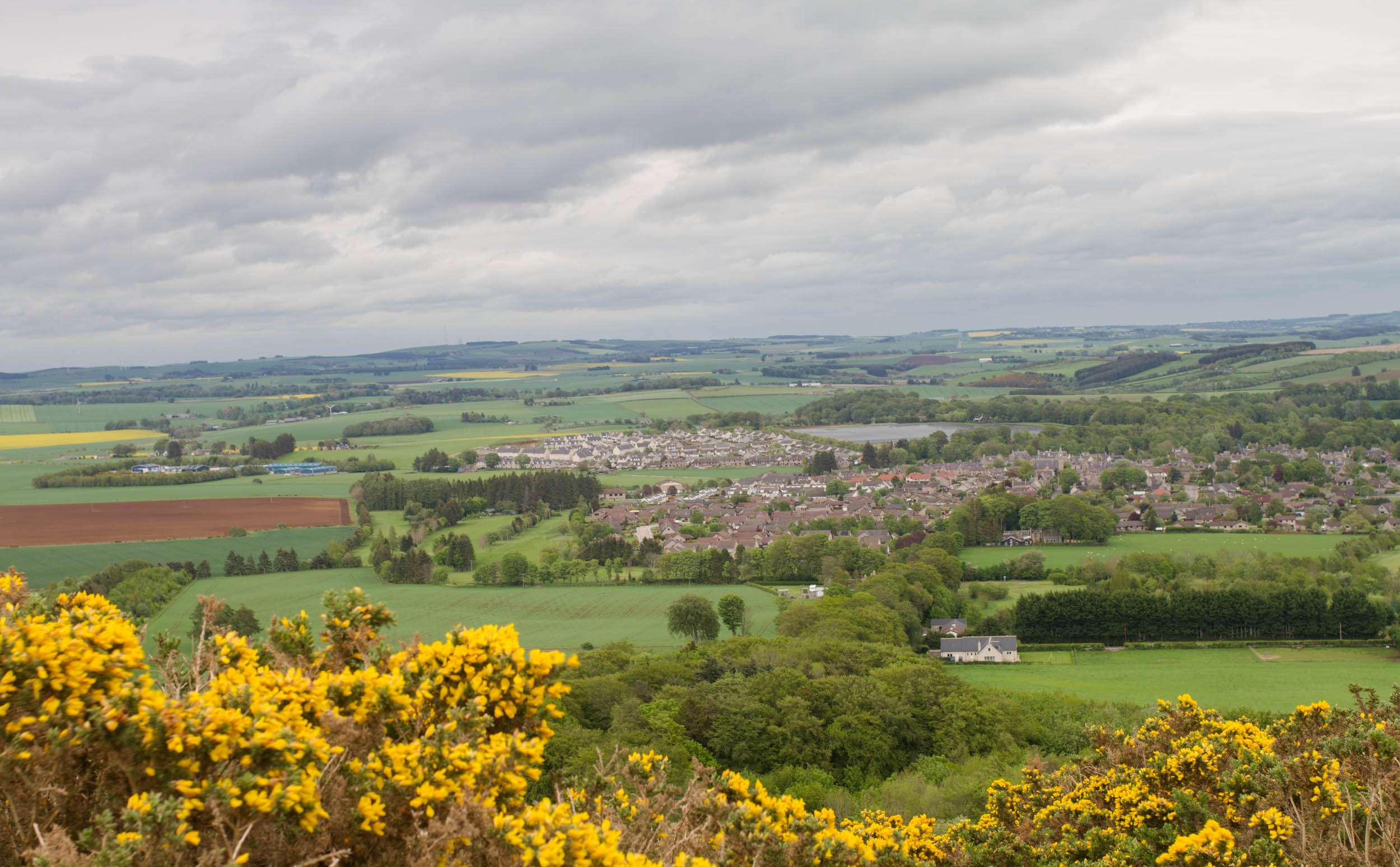 View over Insch village from Dunnideer Hill. Yellow gorse, rollling hills. Aberdeenshire