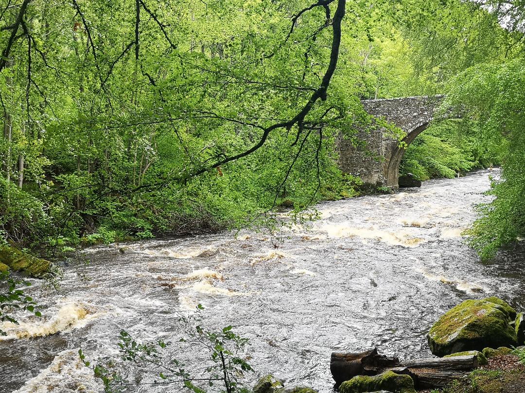 River Deveron, Aberdeenshire