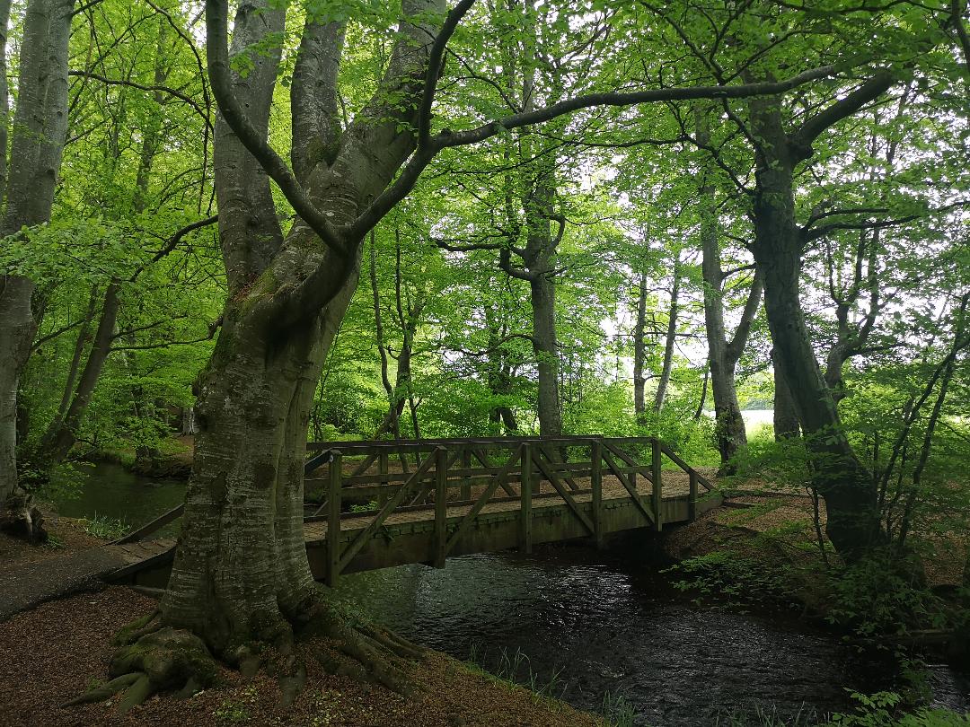 Insch Meadows walk, Aberdeenshire 