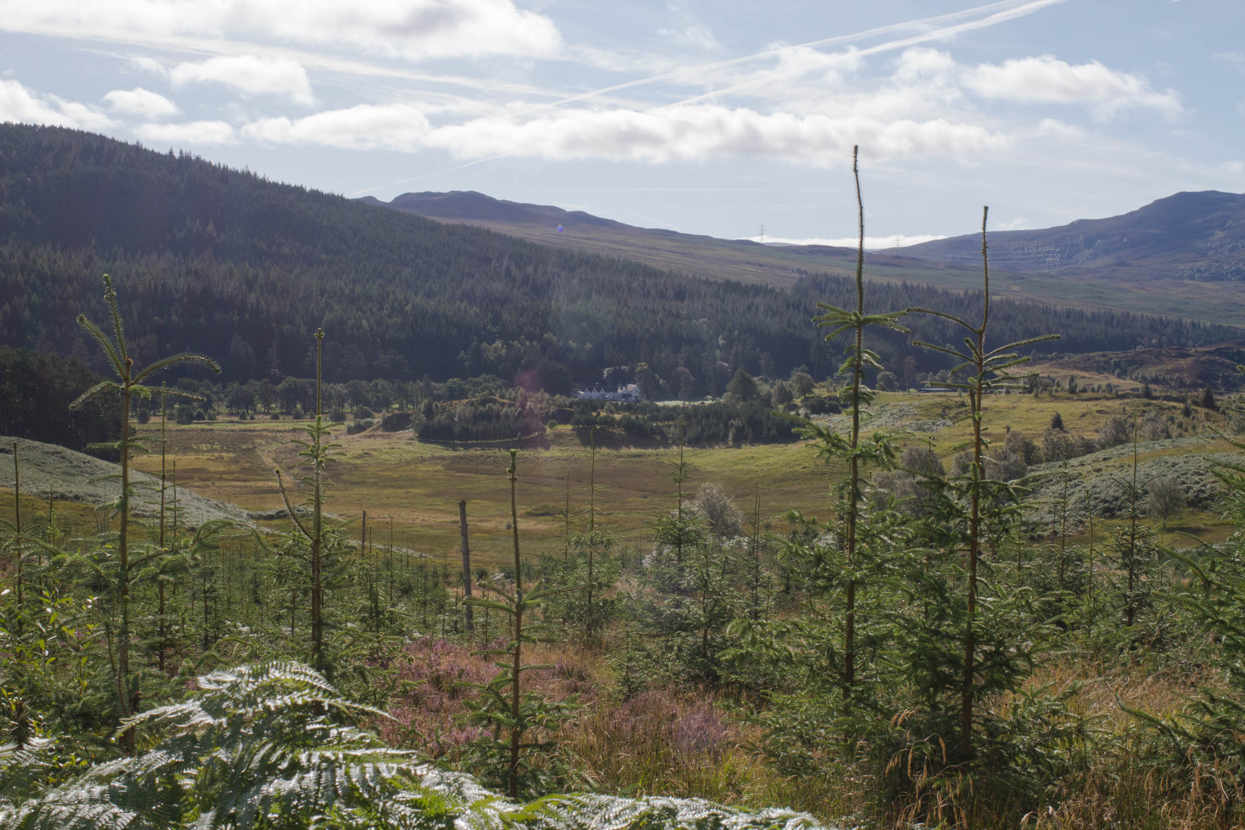 Daffys Gin School, Cairngorms, Scotland 