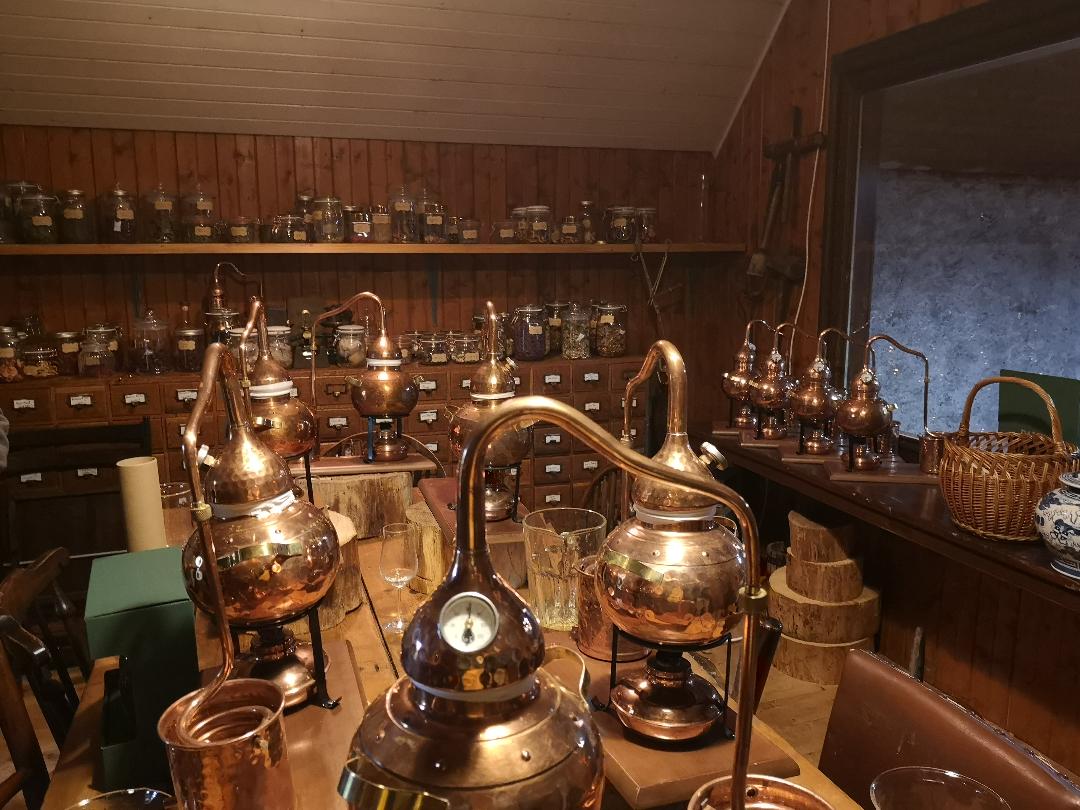 Daffys Gin School, Cairngorms, Scotland 