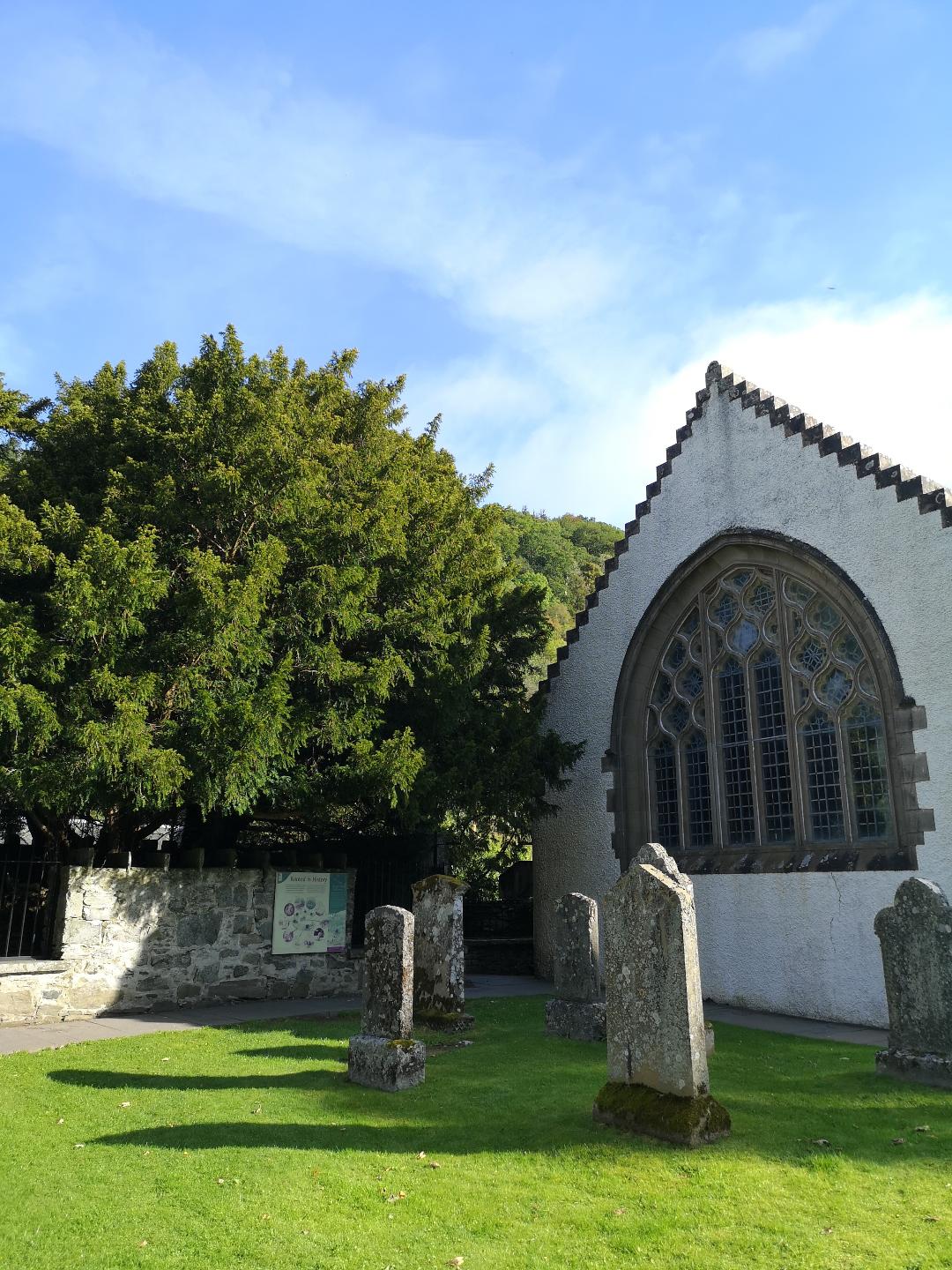 Fortingall Yew, Perthshire