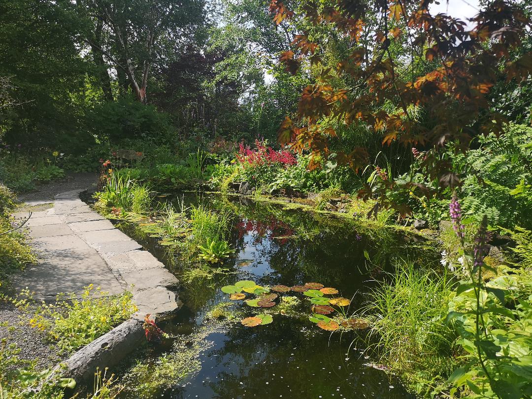 Branklyn Garden, Perthshire