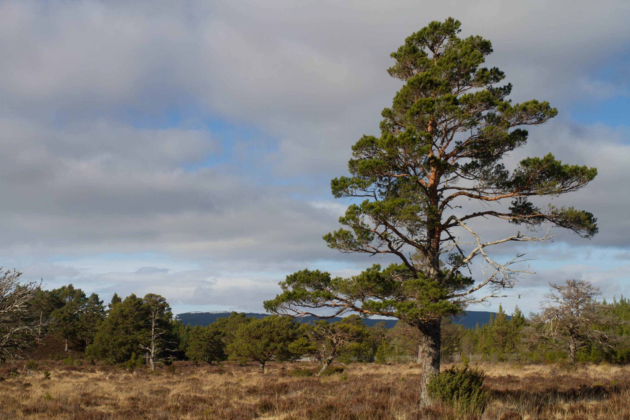 Lairig Ghru, Cairngorms