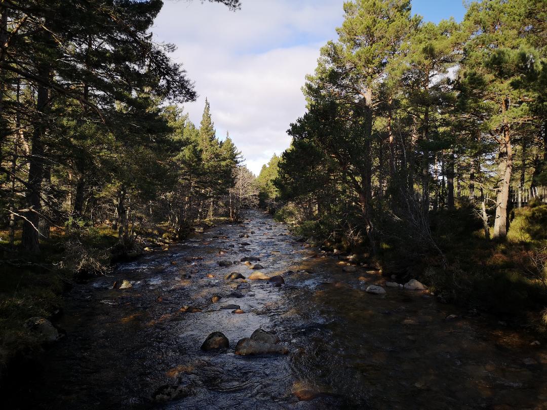 Lairig Ghru, Cairngorms