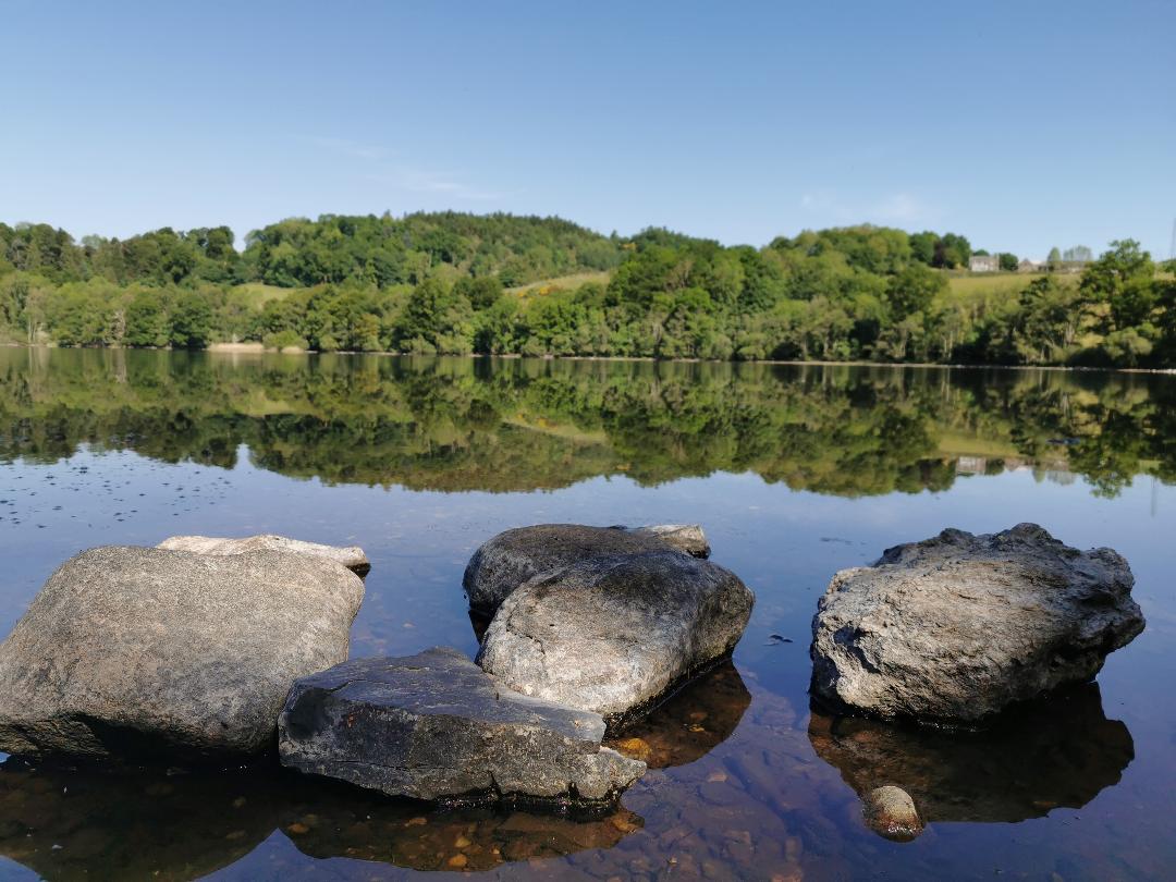 Photo of: foreground - large rock sticking up above the water. Background: the reflection of the trees in the water . Post on Biosecurity for cold water swimming 