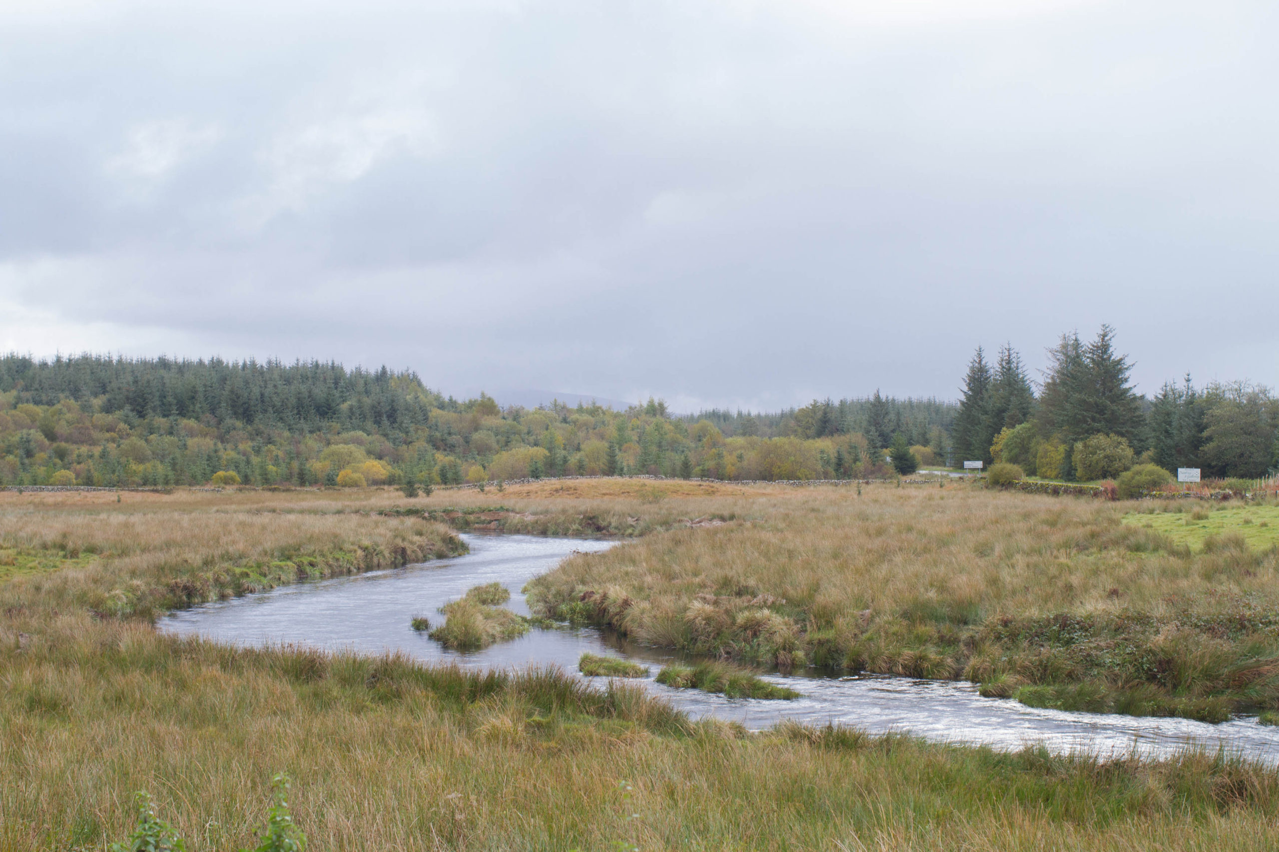 Image of the river Cree. Water winding through long grass fields